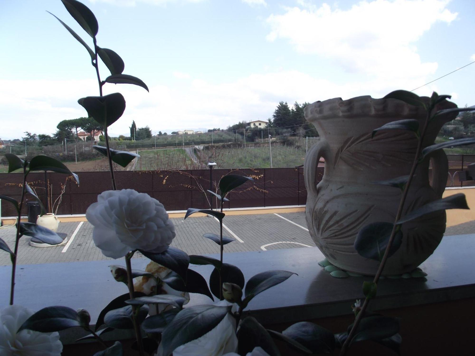 Affittacamere Stranamore Frascati Bagian luar foto