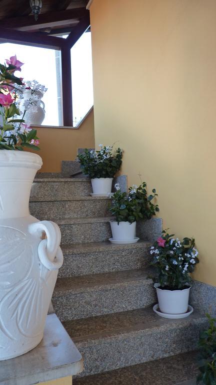 Affittacamere Stranamore Frascati Bagian luar foto