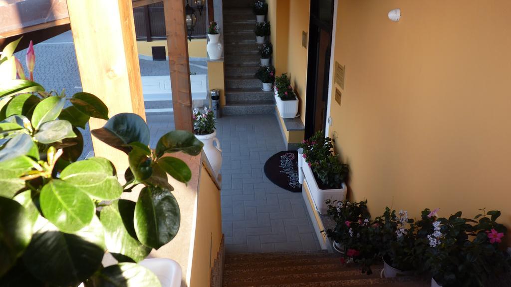 Affittacamere Stranamore Frascati Bagian luar foto