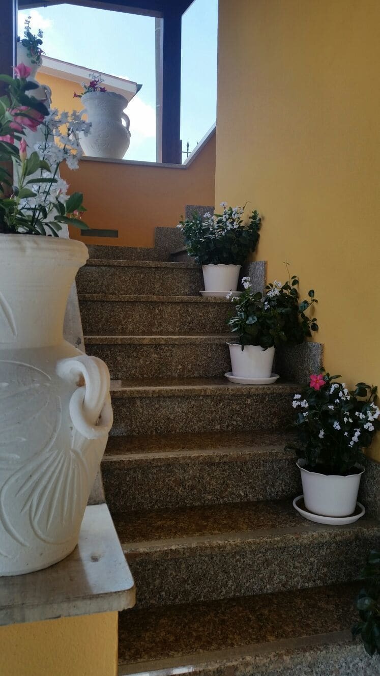 Affittacamere Stranamore Frascati Bagian luar foto